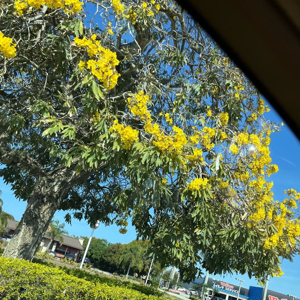 Meet your Posher, Posh for